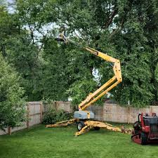 Best Tree Health Inspection  in Arapahoe, NE