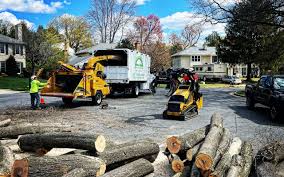 Best Seasonal Cleanup (Spring/Fall)  in Arapahoe, NE